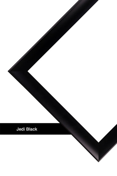 Bob Dylan & Eric Clapton Germany 1978